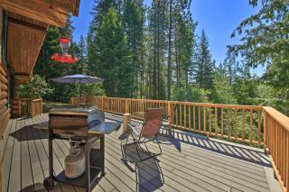 Large Cabin with Fire Pit and Grill on 34 Acres! - Sagle - 9