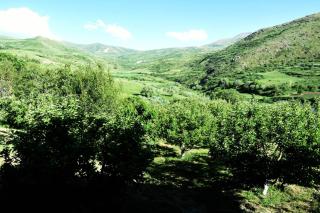 Gnishik Eco Resort - 5