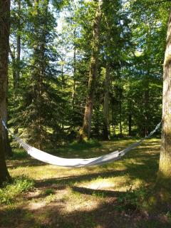 Domaine de la Vaudouriere - 3