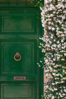 Unique view over St. Peter's Dome! - 6