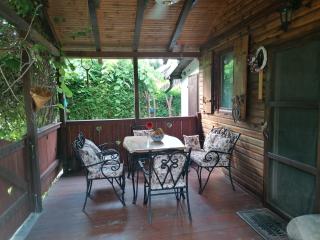 Vila Trmčić Okletac - Bajina Bašta - 3