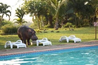 Elephant Lake Hotel - 1