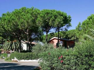 close to the sea, air-conditioned - Santa Liberata - 4