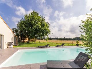 Cabane au cœur du Vignoble Nantais avec piscine privative chauffée - FR-1-306-1210 - Aigrefeuille-sur-Maine - 3