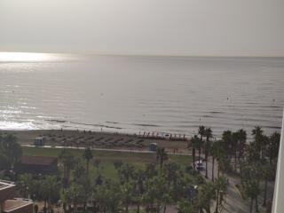 PRIMERA LINEA VISTAS AL MAR Y MONTAÑA SEA VIEWS 10TH Floor - Oropesa del Mar - 2