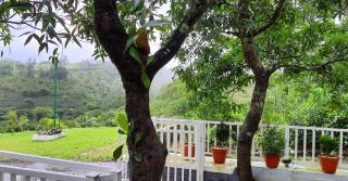 Willow House Vagamon - 3