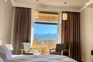Hotel Amanthi Ladakh - Leh - 1