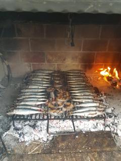 Apartmani Vranjes 2 - 9