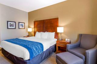 Comfort Inn & Suites Lynchburg Airport - University Area - Lynchburg - 2