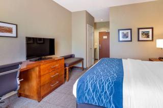 Comfort Inn & Suites Lynchburg Airport - University Area - Lynchburg - 1