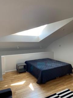 Apartamentai: Pajūrio kopa - Palanga - 7