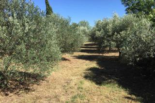 bastide derroc - Cotignac - 5