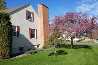 Charming Home In Quiet Grangeville Neighborhood - Grangeville - 8