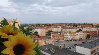 Apartament Anielki - Malbork - 1