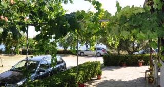 Aris Pension - Agia Paraskevi - 1