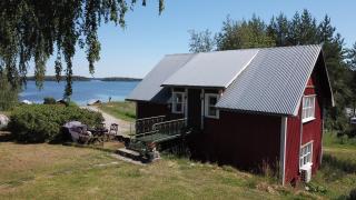 Seaman's nest - - 1