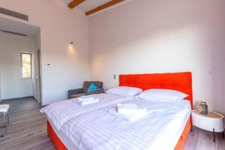 La Finca OliveTree - 5