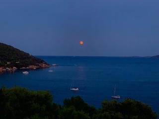 Fedra Apartments - Poros - 6