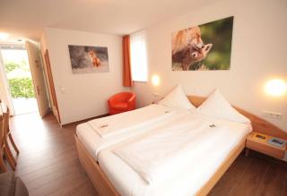 Hotel Sunnegässle - Rust - 1