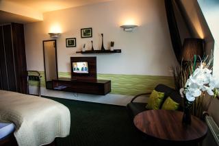 Parkhotel Morris Novy Bor - Nový Bor - 1
