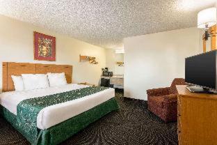 Travelodge by Wyndham Wellington - 5