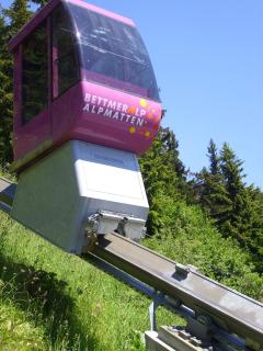 Lorli - Bettmeralp - 4