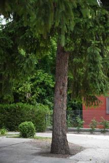 Pretty Place - Zamárdi - 3