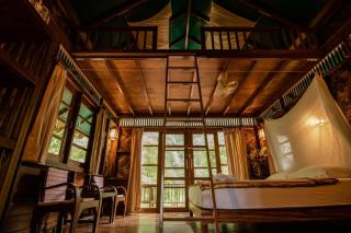 Our Jungle House - Khao Sok - 4