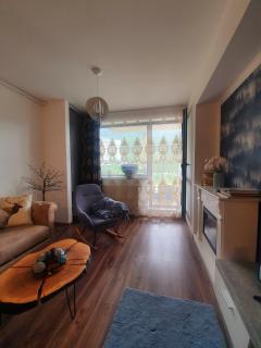 Vintage Home - Sinaia - 3