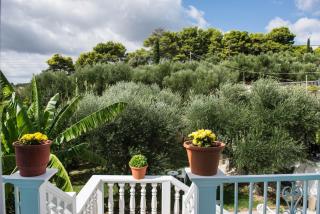 Cleopatra Apartments - Laganas - 5