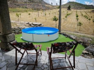Quinta do Chãozinho - Alijó - 6
