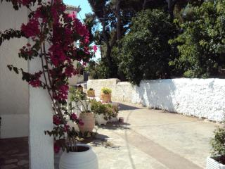 Villa Orizontes - Spetses - 1