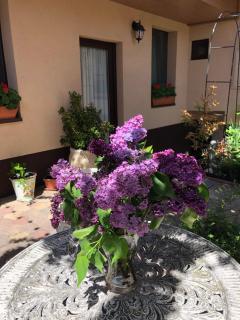 Milla Apartman - Szentendre - 4