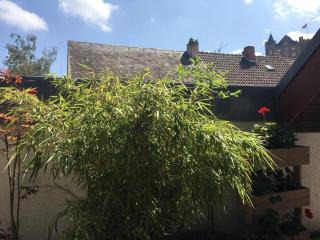 Ferienwohnung in Binger Stadtmitte mit Balkon - Bingen am Rhein - 2