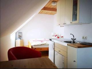 Haus Elsasser - Sankt Johann am Tauern - 9