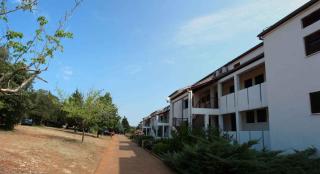 Apartments in Pavicini - Istrien 40814 - Pavicini - 0