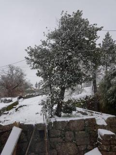 Casa da Relva Experiência Temática Inspirada em Harry Potter - 3