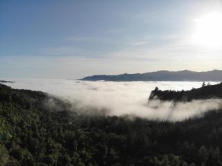 Golden Bay Glamping - Takaka - 7