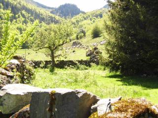 Gite Auberge Les Cascades - La Mongie - 3