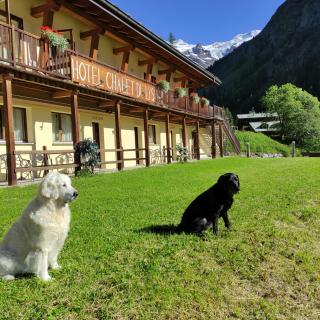 Chalet du Lys Hotel & SPA - Gressoney-la-Trinité - 2
