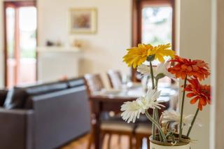 Attico Panoramico - Brunate - 4