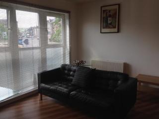 Caledonian Apartment - 4