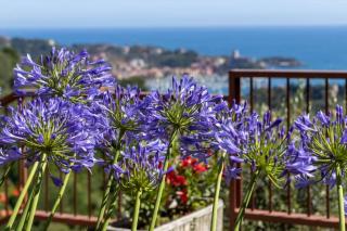 Blue Lodge Lerici - 2