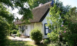 Strandhaus - Ahrenshoop - 0
