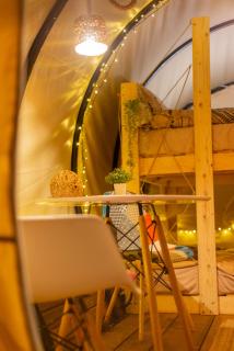 Dragonfly Gardens Urban Glamping Brasov - Braşov - 6