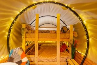 Dragonfly Gardens Urban Glamping Brasov - Braşov - 5