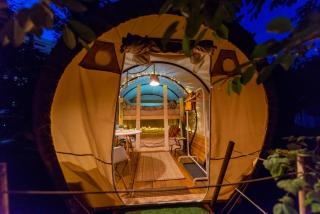 Dragonfly Gardens Urban Glamping Brasov - Braşov - 3
