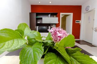 My home 1 - Fagnano Olona - 5