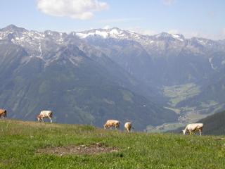 Pension Kristall - Bramberg am Wildkogel - 6