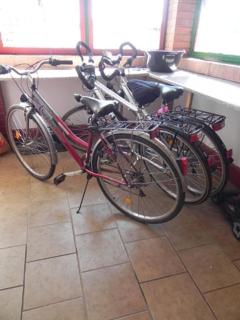 Tisza-ziza vendégház - 8